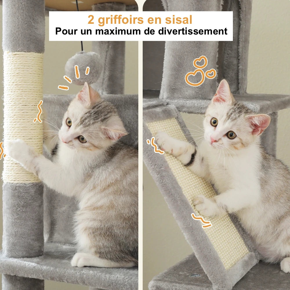 Arbre à Chat Maine Coon XXL Avec Hamac - Modèle "ChatLounge" - L'Ile Aux Chats