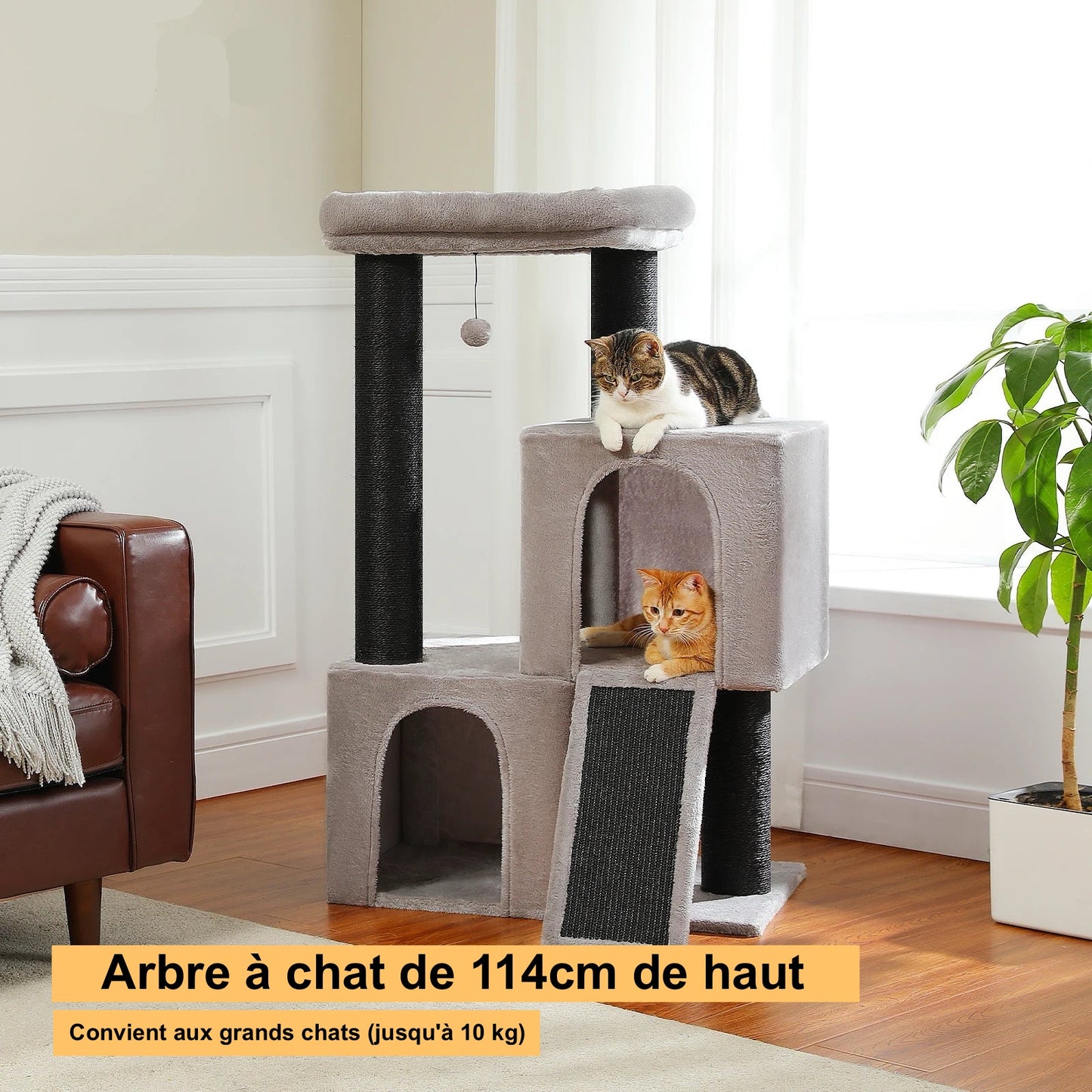 Arbre à Chat Avec Cabane En Bois