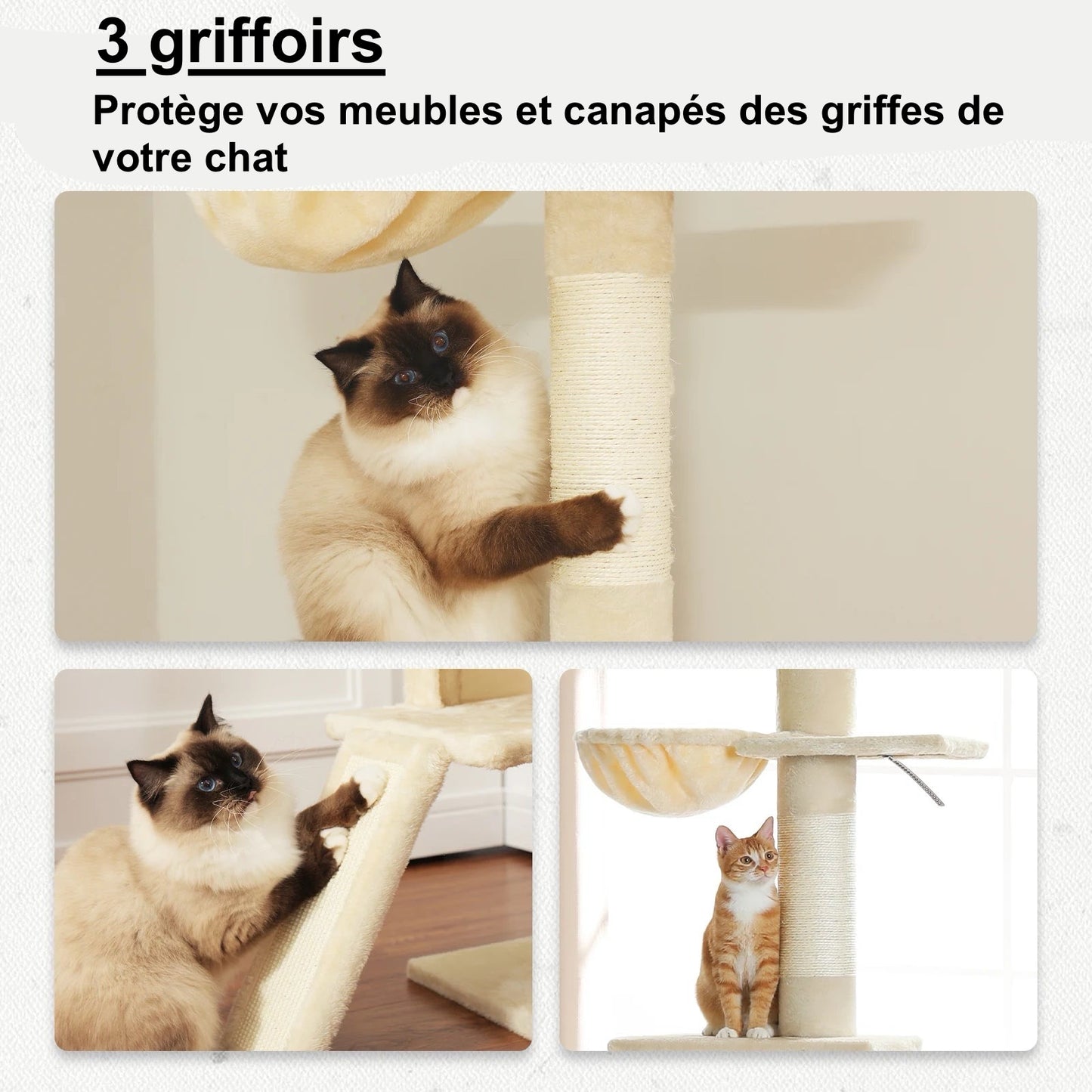 Arbre à Chat Panier - Modèle : "FurTower" - L'Ile Aux Chats