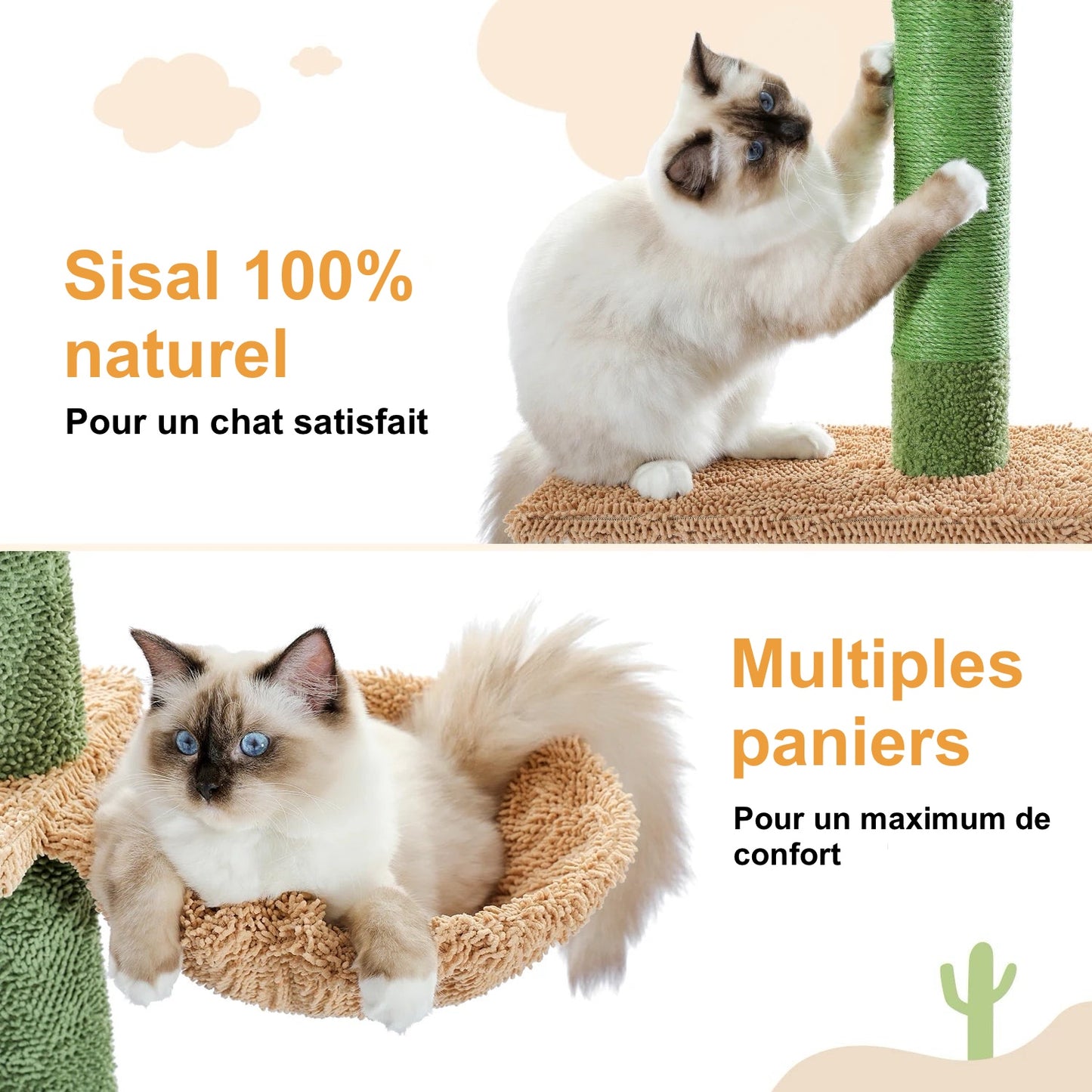 Arbre à Chat Design en Forme de Cactus Ajustable du Sol au Plafond – Modèle Grand Chat "Cactzilla" - L'Ile Aux Chats