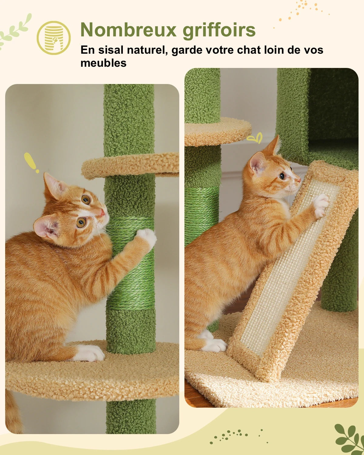 Arbre à Chat Cactus Design - Modèle : "CocoCat" - L'Ile Aux Chats