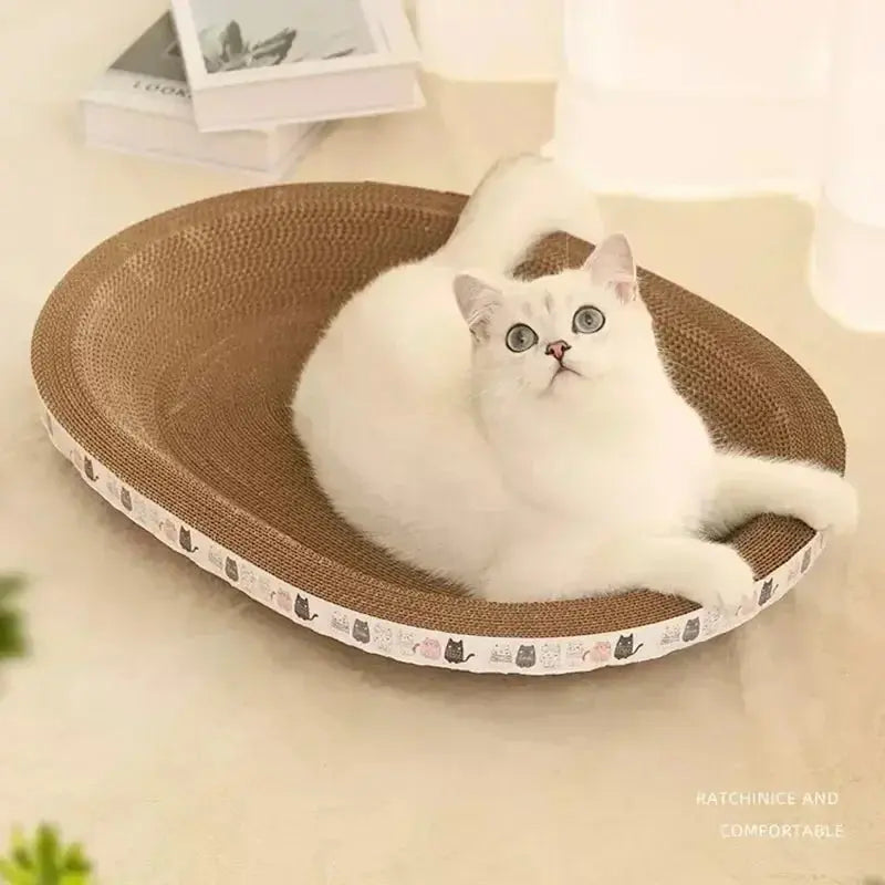 Griffoir Et Panier Pour Chat