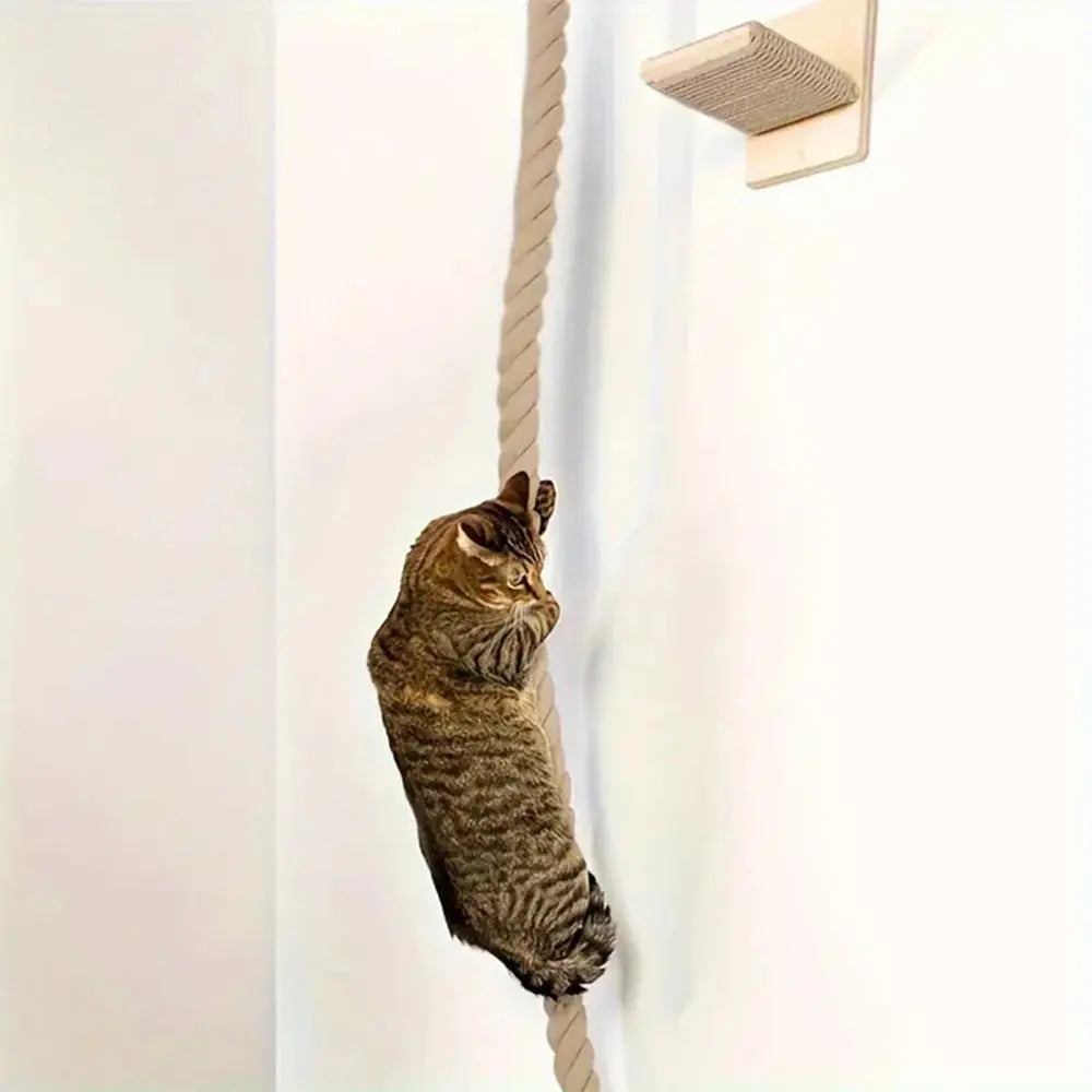 Corde D'escalade Pour Chat - Modèle "Tarzcat" - L'Ile Aux Chats