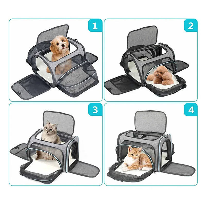 Sac De Transport Pour Chat XXL - Modèle "Camper" - L'Ile Aux Chats