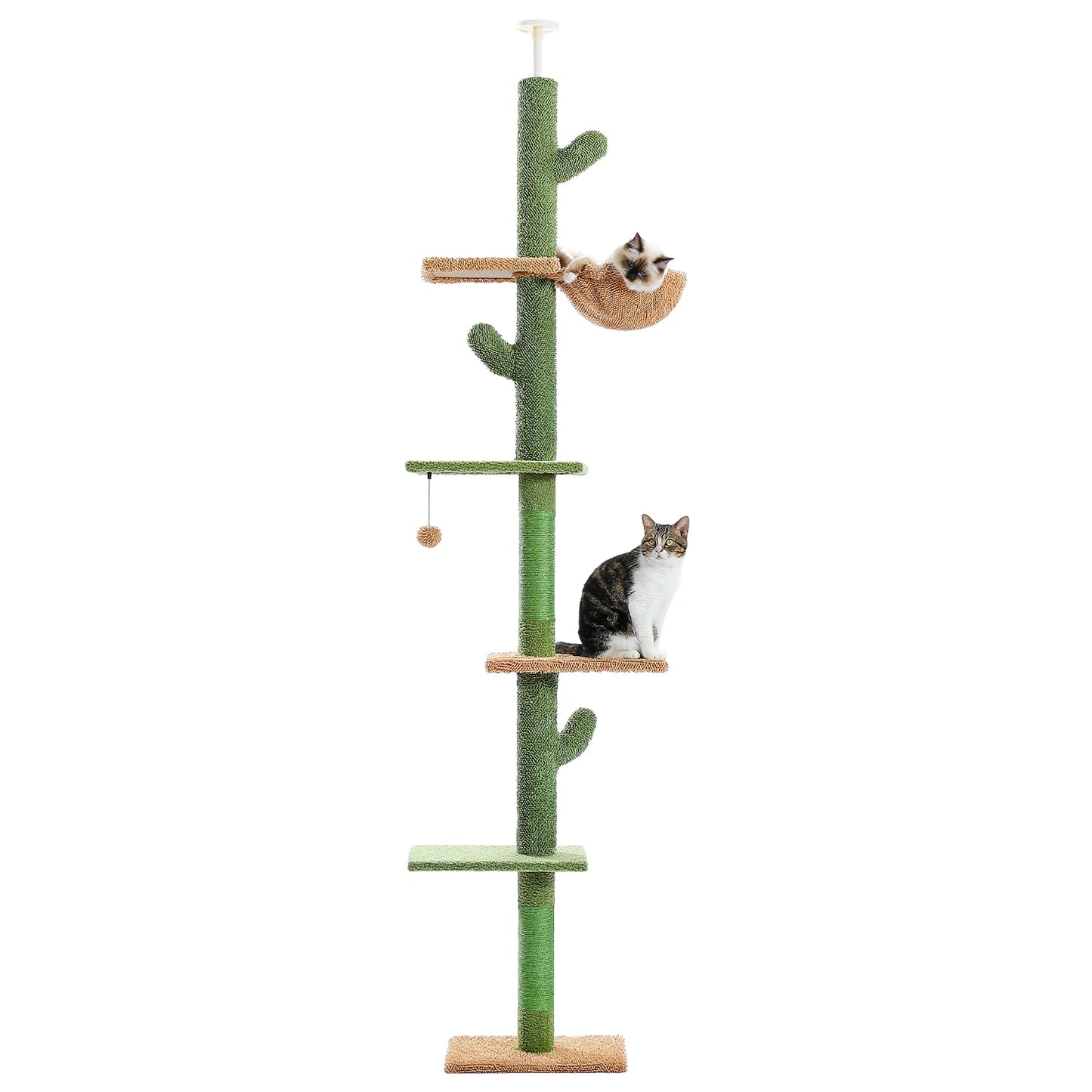 Arbre à Chat Design en Forme de Cactus Ajustable du Sol au Plafond – Modèle Grand Chat "Cactzilla" - L'Ile Aux Chats