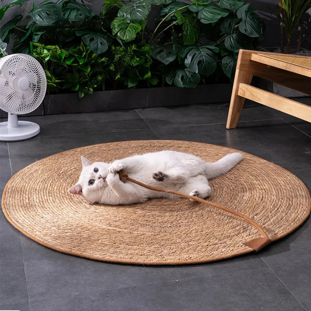 Tapis Griffoir Pour Chat- Modèle "Grifforia" - L'Ile Aux Chats