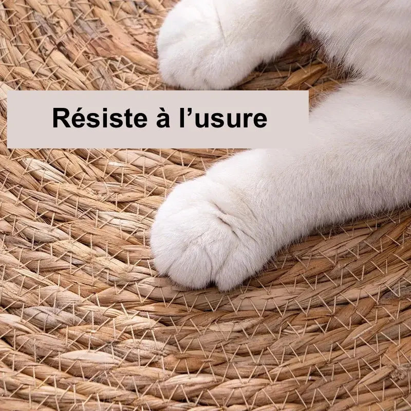 Tapis Griffoir Pour Chat- Modèle "Grifforia" - L'Ile Aux Chats