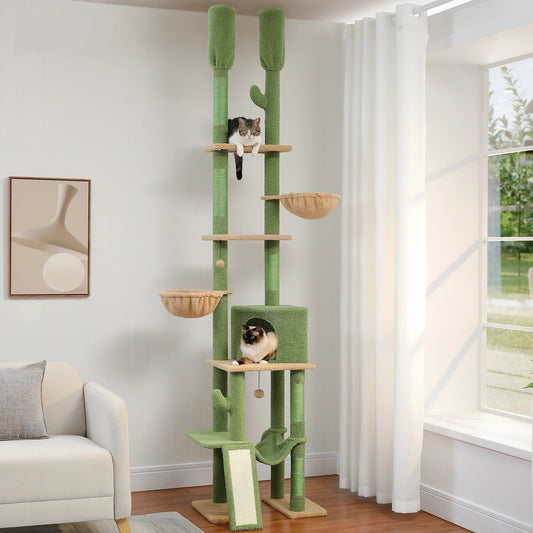 Arbre à chat Maine Coon Pour Grands Chats Design Cactus 4 étages - Modèle "Cactigrif"