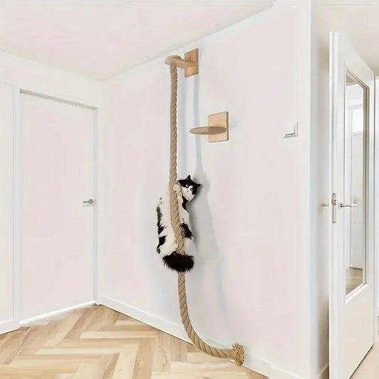 Corde D'escalade Pour Chat