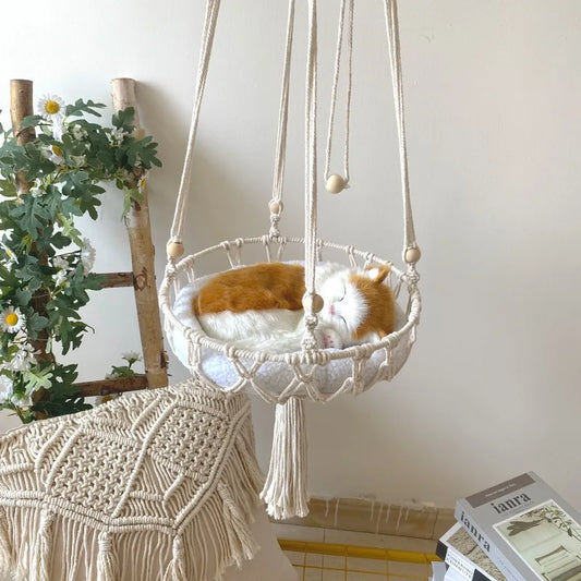 Nid Douillet Suspendu Pour Chat