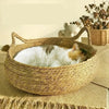 Nos Paniers à Chats