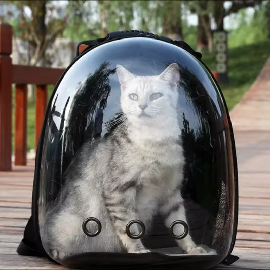 Sac De Transport Pour Chat En Avion